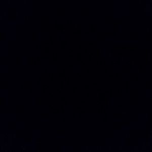 Meet your Posher, Rodney